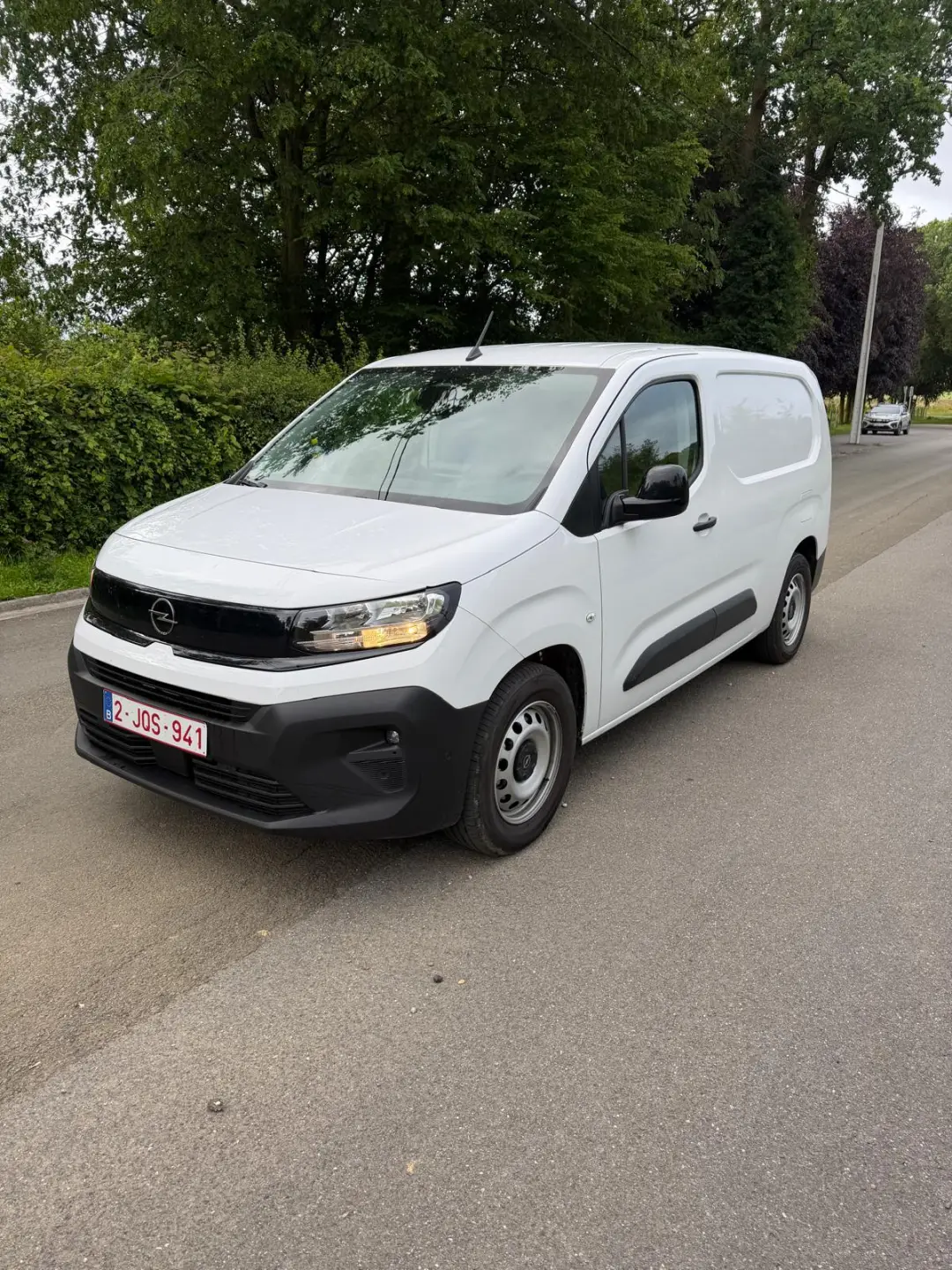 Camionnette électrique